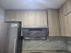 Spring Grove (D10), Condominium #528004841